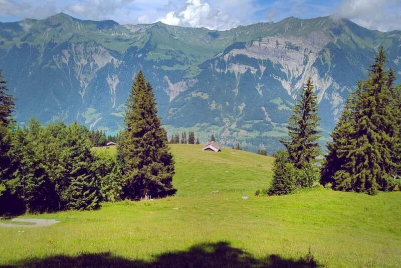 Interlaken: Scenic Walk and Raclette by the Mountain Lake - A Closer Look at the Experience