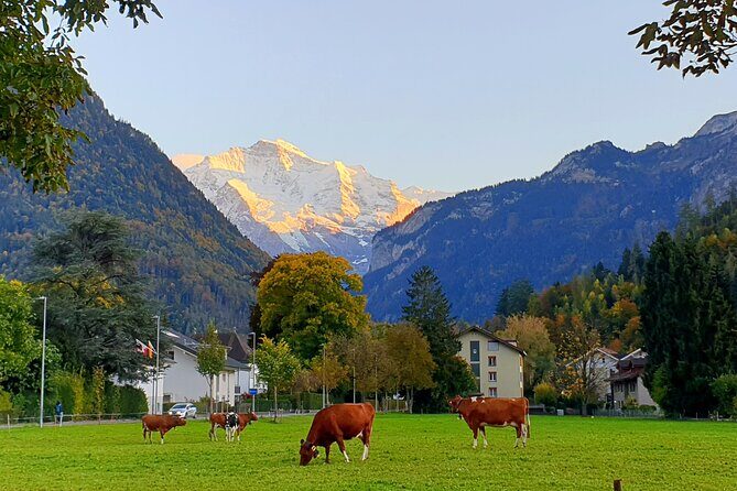 Interlaken sightseeing: Lauterbrunnen, Brienz, Interlaken - Key Points