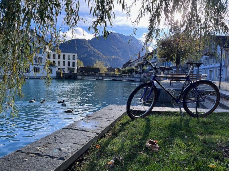 Interlaken Valley E-Bike Tour: Rivers, Lakes & Forests - Final Thoughts