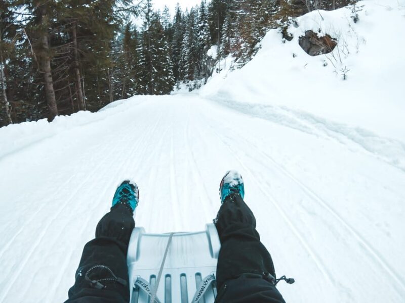 Interlaken: Winter Alpine Adventure - Snowshoe and Sledding - An In-Depth Look at the Experience