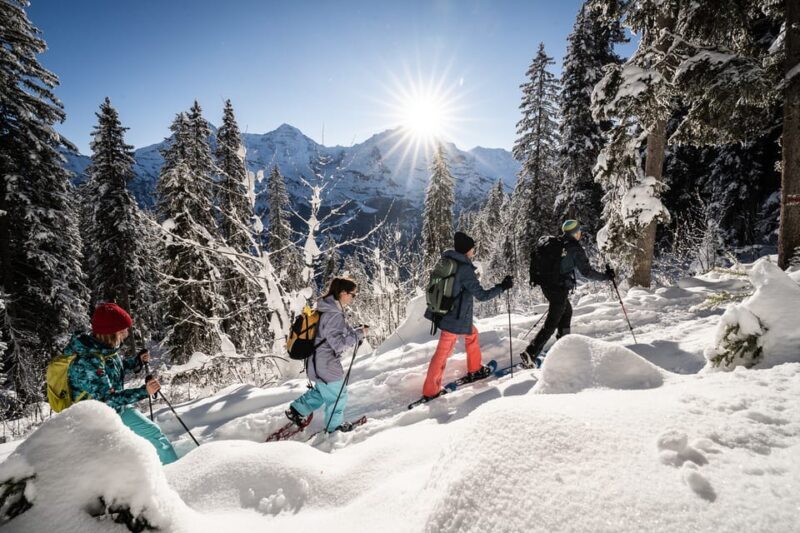 Interlaken: Winter Alpine Adventure - Snowshoe and Sledding - Possible Considerations