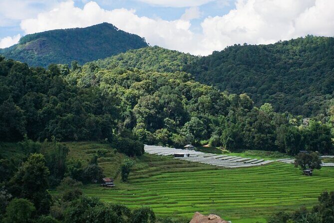 Inthanon National Park Tour with Soft Hike at Pha Dok Siew Trail - What Makes This Tour Stand Out?