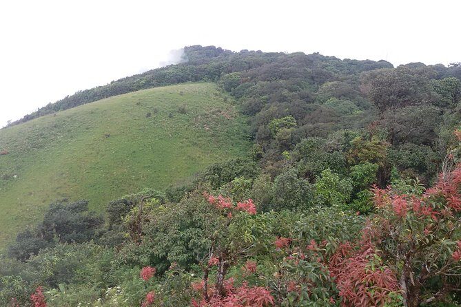 Inthanon Small-Group with Kew Mae Pan Trail from Chiang Mai include Lunch - Key Points