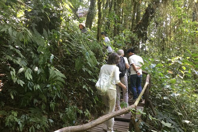 Inthanon Small-Group with Kew Mae Pan Trail from Chiang Mai include Lunch - Final Thoughts