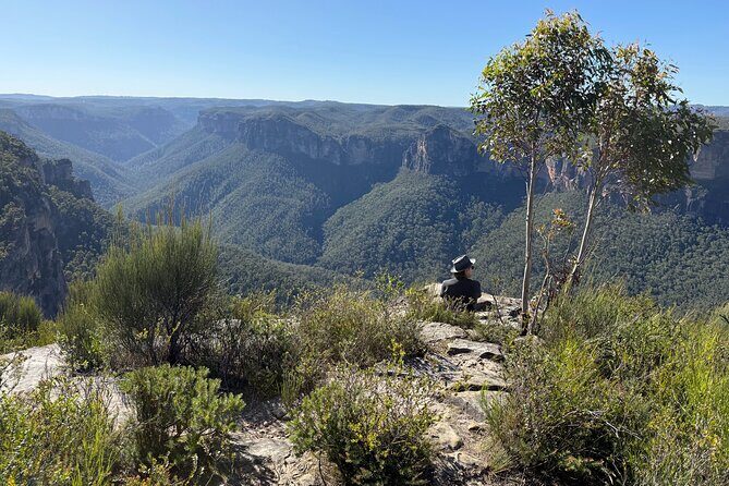 Intimate Blue Mountains Wild Kangaroos & Sunset for Nature Lovers - The Sum Up