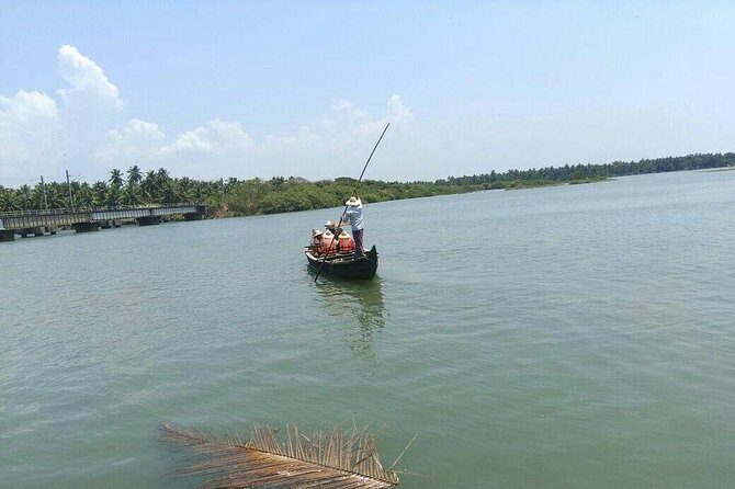 Into the Mangroves: Calicut Mangrove Trail by Tyndis - A Genuine Look at the Calicut Mangrove Trail Experience