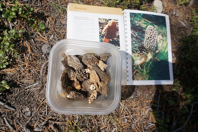 Intro Survival Course Rockies - What’s Included and What’s Not