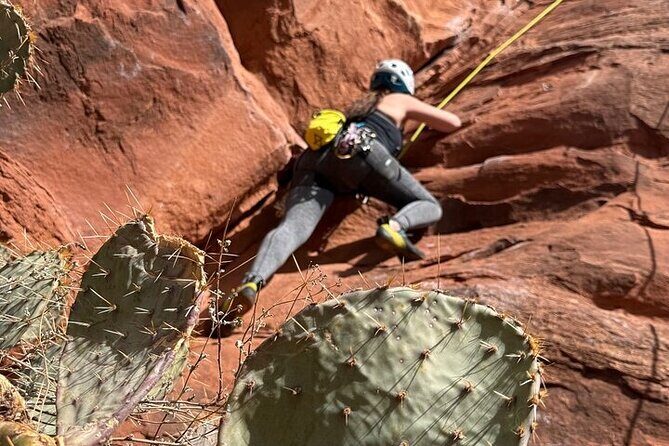 Intro to Rock Climbing in Blairstown NJ - What Reviewers Say (Based on Available Feedback)