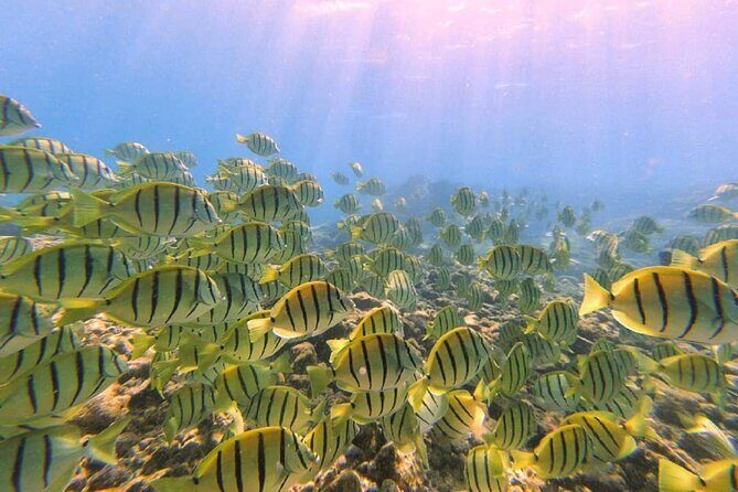 Introductory Beach Scuba Dive - Concluding Thoughts