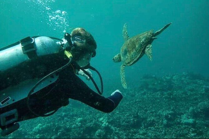 Introductory Beach Scuba Dive - FAQ