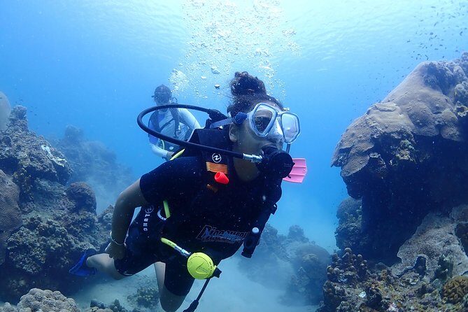 Introductory dive for non-certified divers - Introductory Dive for Non-Certified Divers: An Authentic, Hassle-Free Introduction to the Underwater World