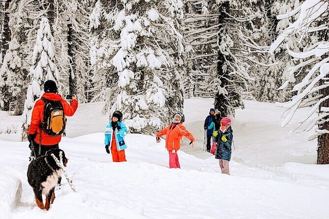 Introductory Guided Snowshoe Tour - Key Points