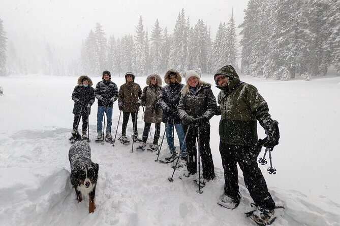 Introductory Guided Snowshoe Tour - FAQ