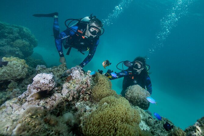 Introductory Scuba Diving Experience in Bora Bora - Who Should Consider This Experience?