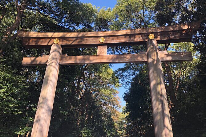 Introductory Tokyo Tour for the first timers: learn basic Travel tips and tricks - FAQs