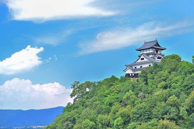 Inuyama Private Tour with Kimono and Sado Experience from Nagoya - An In-depth Look at the Itinerary