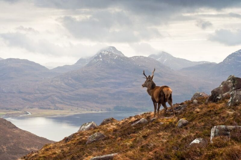 Inverness: Applecross, Loch Carron & Wild Highlands Day Tour - FAQs