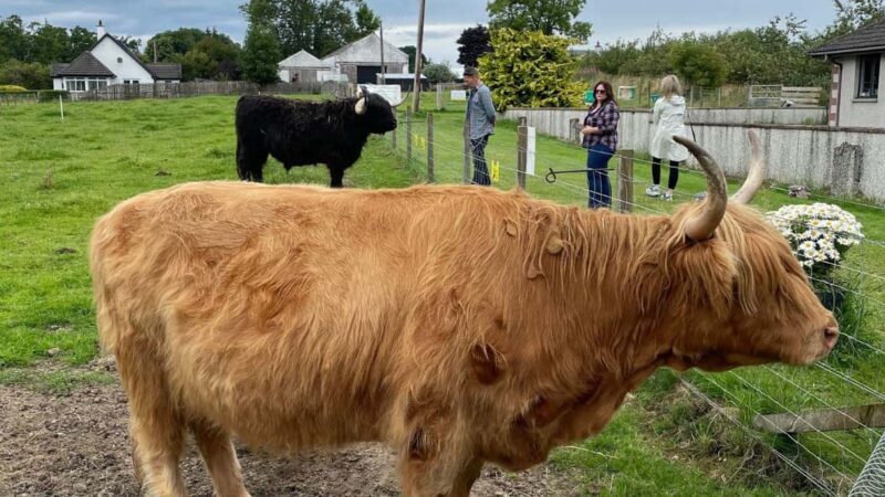 Inverness: Full-Day Guided Tour with Highland Castle - Value and Cost Analysis