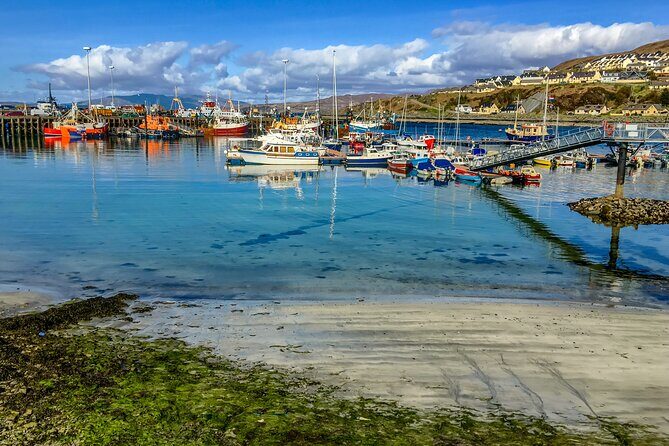 Inverness: Glenfinnan, Mallaig, and Loch Ness Adventure - A Deep Dive into the Highlands in a Day