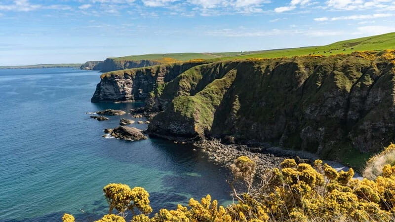 Inverness: Whisky, Wildlife, and Beaches Day Tour - FAQ