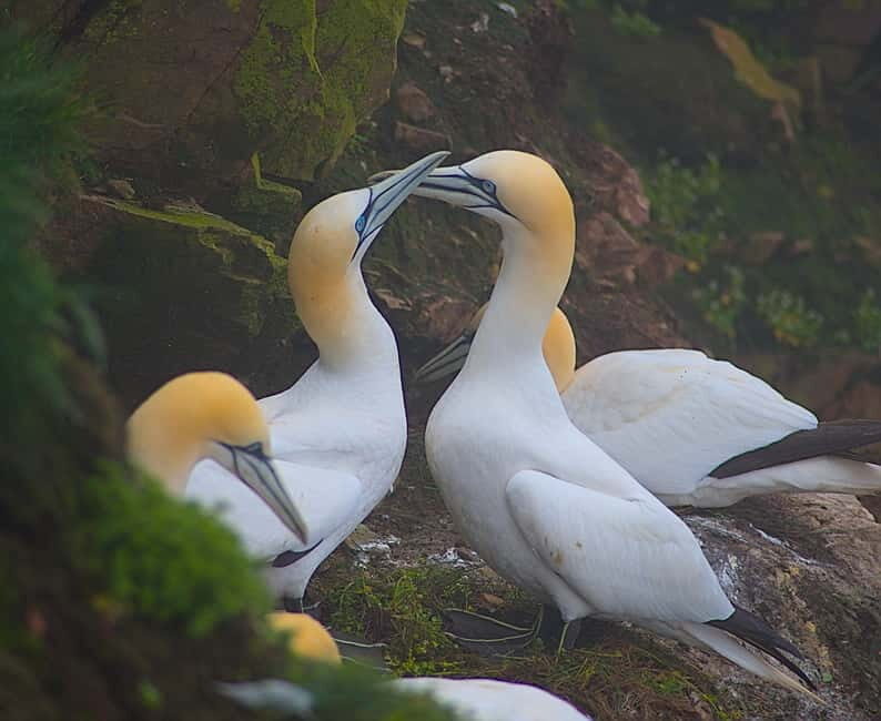 Inverness: Whisky, Wildlife, and Beaches Day Tour - Final Thoughts