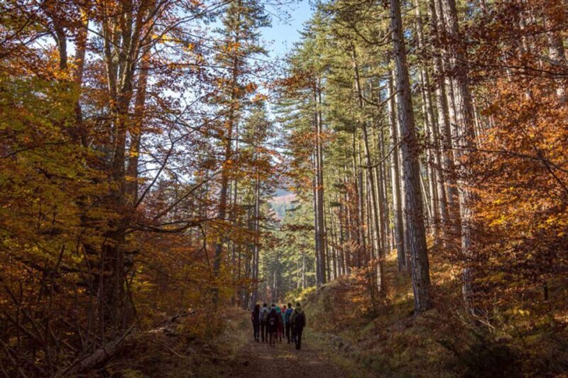 Ioannina: Valia Calda Off-Road & Cooking Experience - Practical Details & Tips