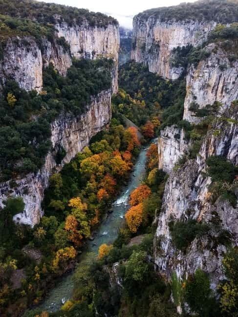 Irati Forest and Ochagavía Excursion - Key Points