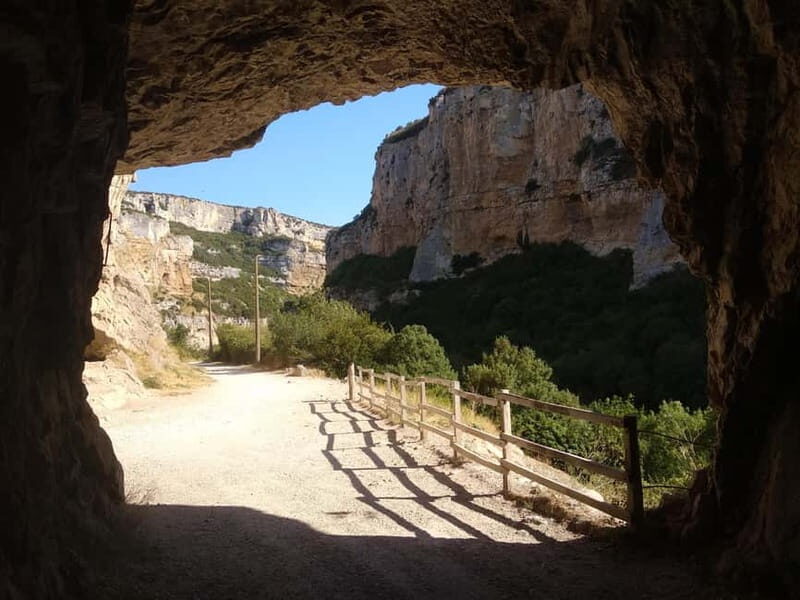 Irati Forest and Ochagavía Excursion - A Journey Through History: Zugarramurdi and Ikaburu Cave