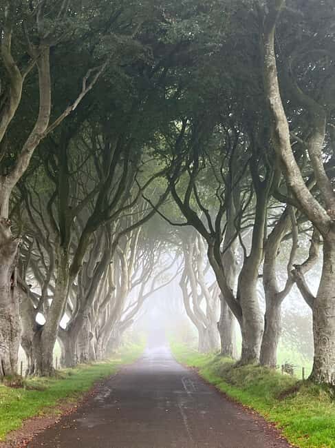 Ireland: Belfast City and Giants Causeway Tour - A Close Look at the Itinerary