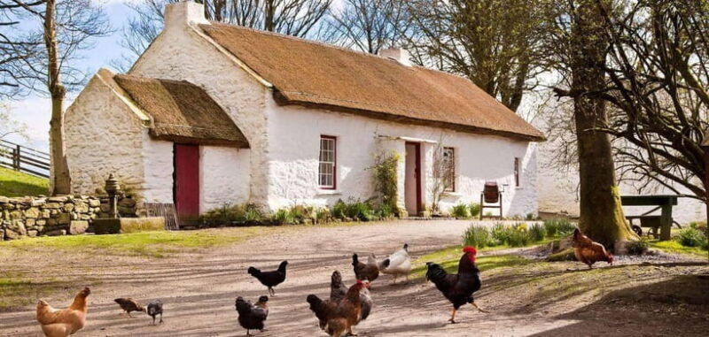 Ireland: Giants Causeway, Donegal, private luxury car, 3-day - Day 2: Donegal’s Wild Beauty and Sea Cliffs