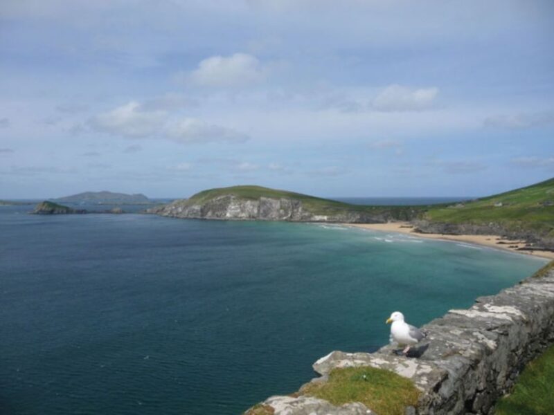 Ireland's North Atlantic Coast 5-Day Tour from Dublin - FAQ