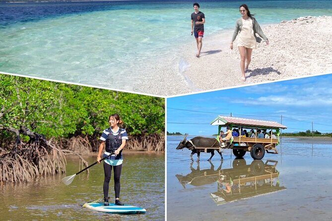 Iriomote 1 Day Mangrove SUP/Canoe, Barasu Island & Yubu Island - FAQ