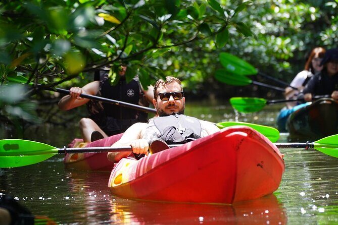 Iriomote Island 1-Day Snorkeling & Mangrove SUP or Canoe - An In-Depth Look at the Iriomote Tour Experience