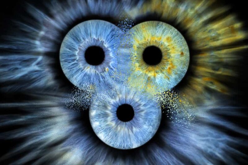 IRIS Photography (macro photo of your eye) - Who is This Tour Best For?