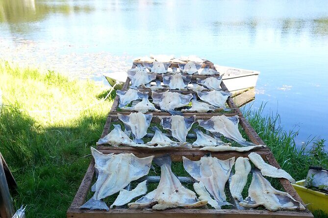 Irish Loop to Ferryland Tour - Authenticity and Guest Experience