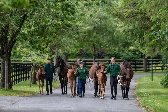 Irish National Stud & Gardens Skip the line Entrance - FAQs