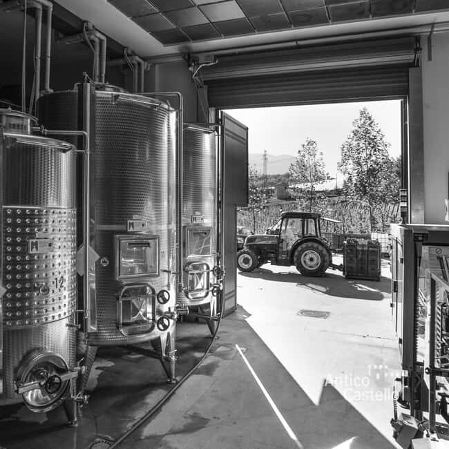 Irpinia Wine Tasting Experience - Final Thoughts