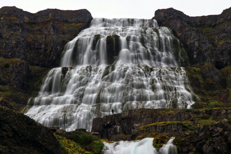 Isafjordur: Dynjandi Waterfall Tour and Icelandic Farm Visit - The Sum Up