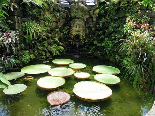 Ischia and La Mortella Gardens - The Experience: What Travelers Say & Why It Matters