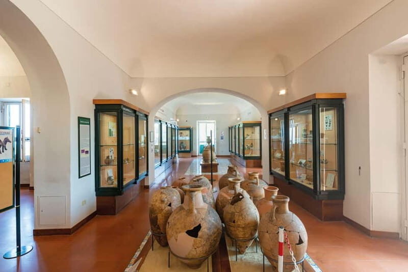 Ischia: Archaeological Museum of Pithecusae Ticket - Final Thoughts: Who Will Love This Experience?