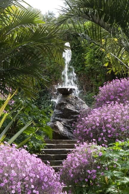 Ischia: La Mortella Gardens Trip with Optional Lunch - Key Points