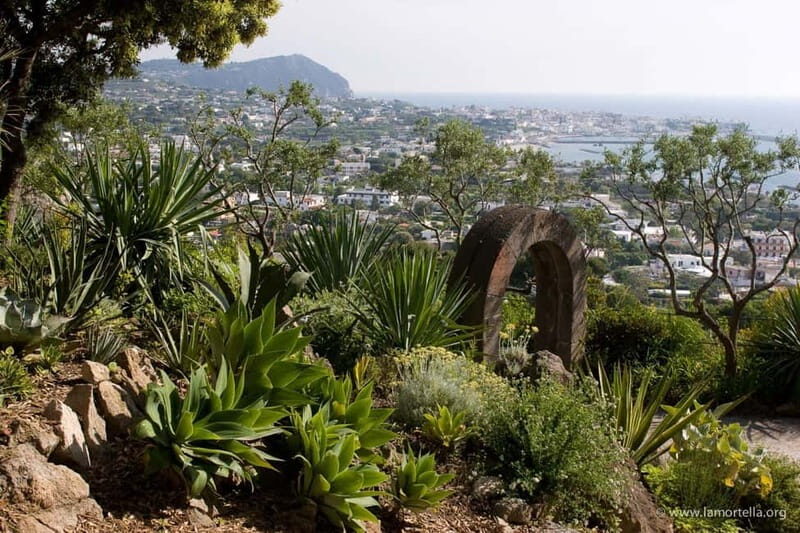 Ischia: La Mortella Gardens Trip with Optional Lunch - Who Will Love This Tour?