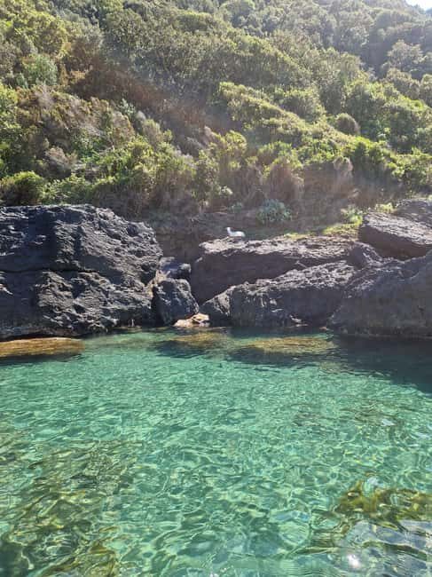 Ischia: Private SUP Lesson and Tour of the Forio Coast - Discovering Ischia from the Sea: A Complete Overview