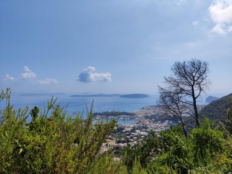 Ischia: Volcano hike - A Deep Dive into the Ischia Volcanic Hike