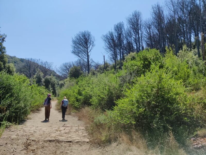 Ischia: Volcano hike - Why This Tour Offers Great Value