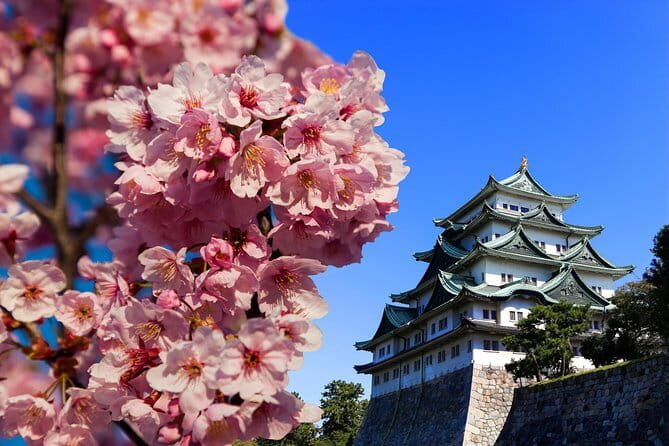 Ises Sacred Shrines and Captivating Coastlines - From Nagoya - Who Should Book This Tour?
