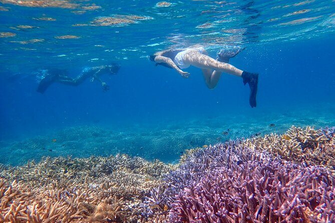 Ishigaki Phantom Island Snorkeling  Kabira Bay SUP or Canoeing - Key Points
