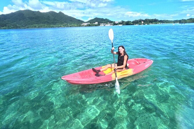 Ishigaki Phantom Island Snorkeling  Kabira Bay SUP or Canoeing - Why This Tour Works for Different Travelers