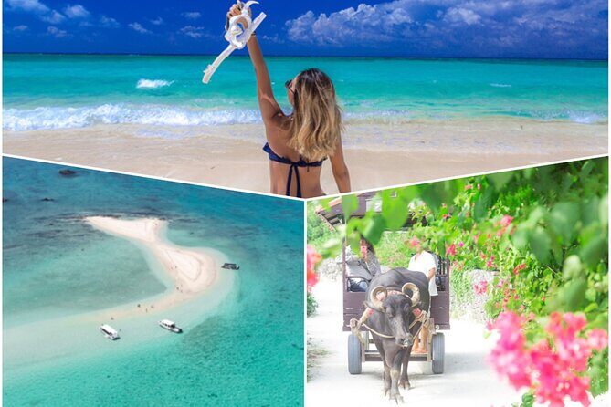 Ishigaki Phantom Island Snorkeling Taketomi Island Sightseeing - Exploring the Ishigaki Phantom Island Snorkeling and Taketomi Island Sightseeing Tour