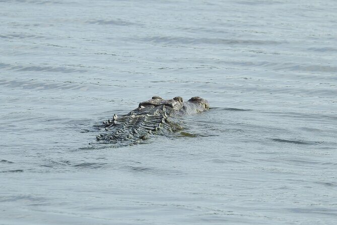 Isla Blanca wildlife expedition private bike & boat tour cancun mexico - Who Will Love This Tour?